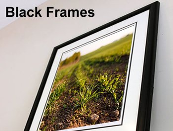 Many Black Picture Frames near me.