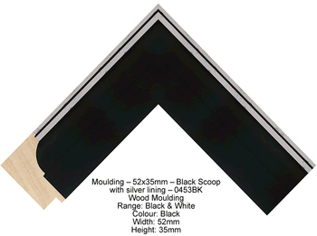 Black Picture Framing with Silver Edge