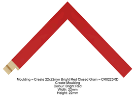 Bright Red Picture Frame
