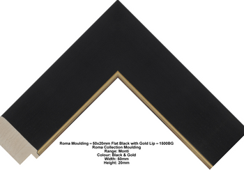 Large Black Picture Frame with gold inner Edge